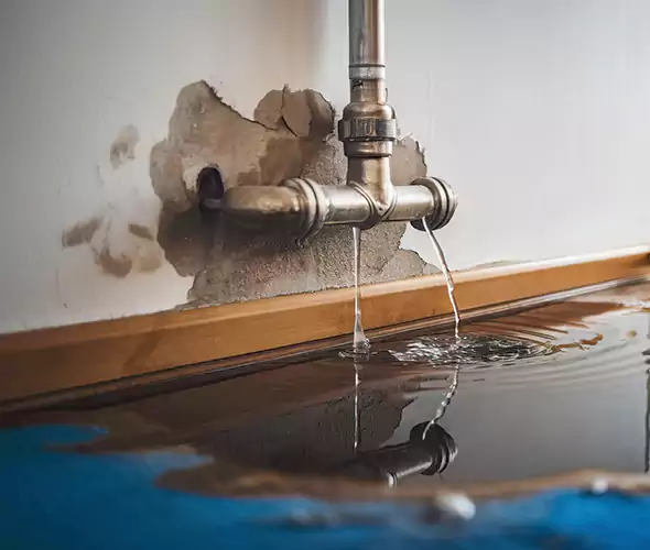 Professional Water Damage Restoration Experts in Tacoma, WA — Fast, Reliable & Certified