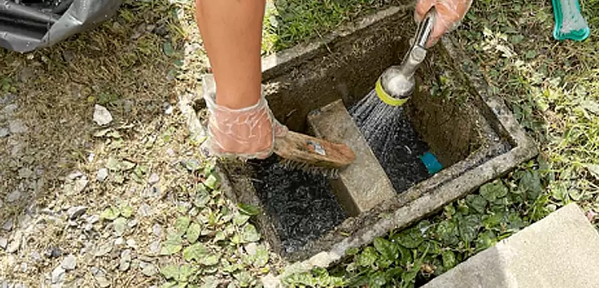 Professional Grease Trap Cleaning Services in Tacoma, WA