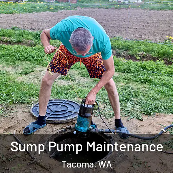  Sump Pump Maintenance Tacoma, WA