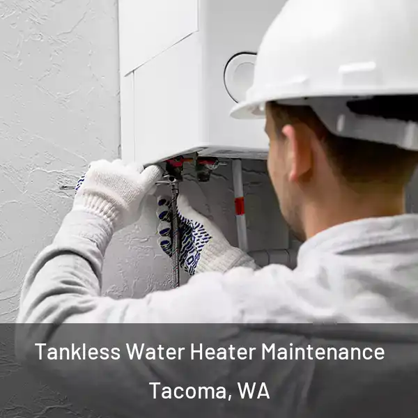  Tankless Water Heater Maintenance Tacoma, WA