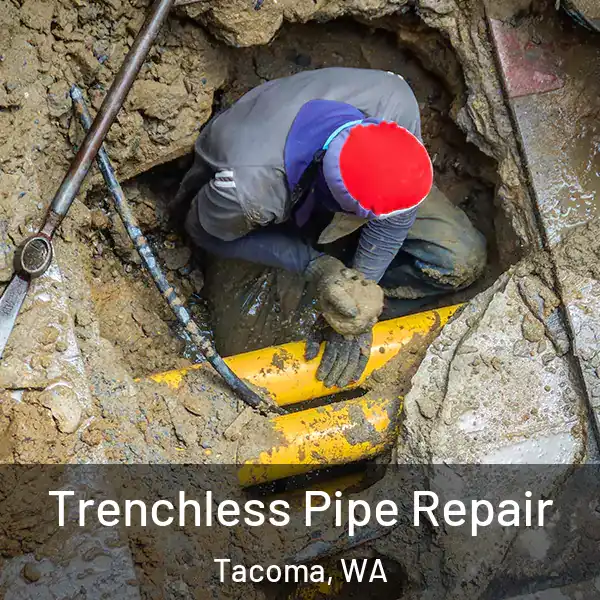  Trenchless Pipe Repair Tacoma, WA