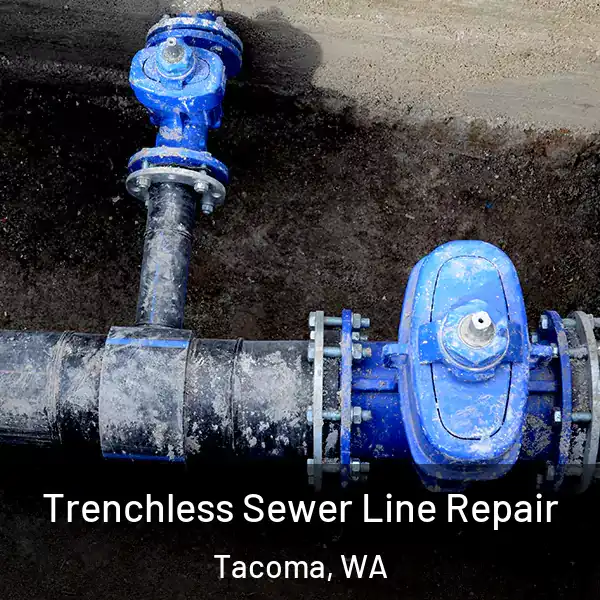  Trenchless Sewer Line Repair Tacoma, WA
